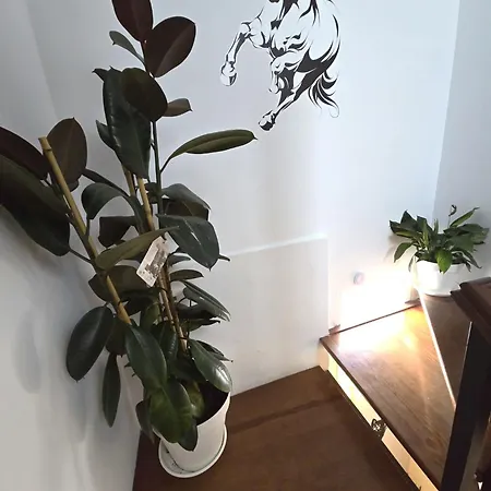 La Morada Del Maestre