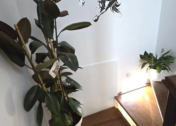 La Morada Del Maestre